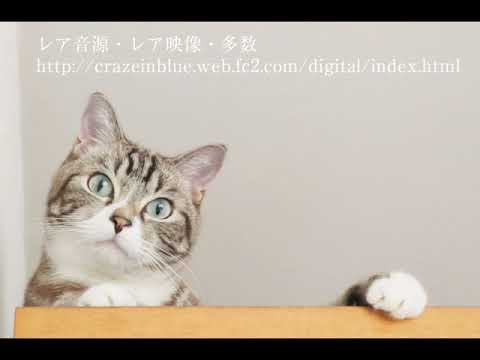 Paul Bley TRIO  Gary Peacock  Barry Altschu Denon Live Concert