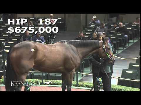 2014 November Breeding Stock Sale: Hip 187 - Scarlet Strike