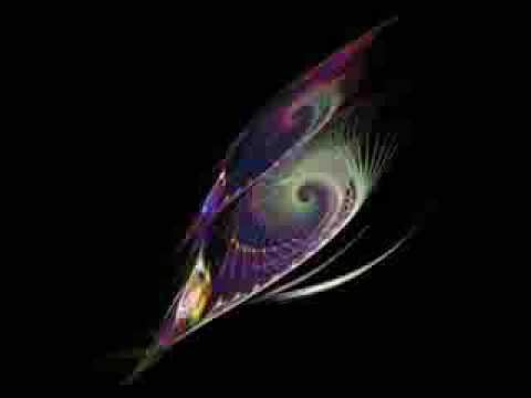 Santoz Meets Pedro Del Mar Seagulls