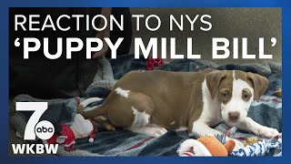 Celebration, disappointment over puppy mill bill in Western New York