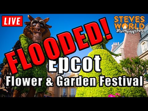 🔴 LIVE: A FLOODED Evening At The Epcot International Flower & Garden Festival