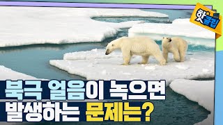 북극 바다를 덮고 있던 얼음이 사라진다.