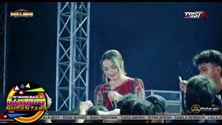 Download lagu CINTA YANG PUDAR - Tasya Rosmala New Pallapa 2024 mp3