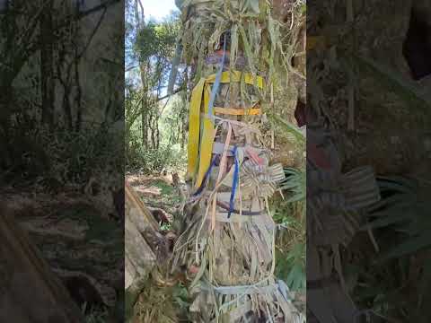 CAPELINHA DE SAO JOAO MARIA, EM DICE GRANDE QUITANDINHA PR.