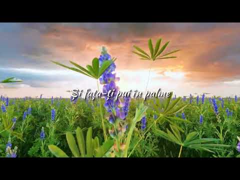 Ce ganduri te framanta - Doru Girboan