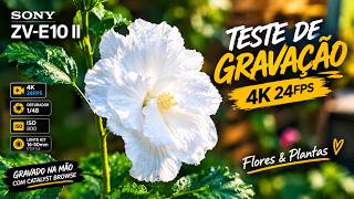 Sony ZV-E10 II em 4K 24fps | Teste Real com Lente 16-50mm + ISO 800 e Catalyst Browse