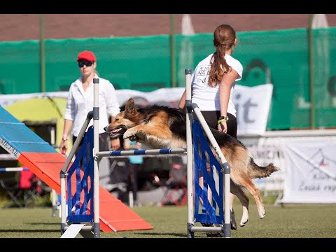 Sedlec u Mikulova - Juniors CZECH cup 2021// Cider & Brixx