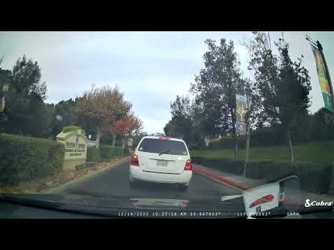 Dashcam Adventures: Crazy Karen Road Rage