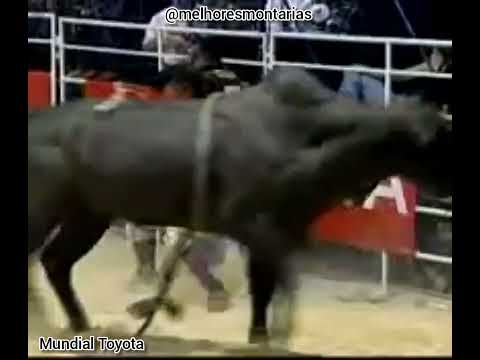 FABRÍCIO ALVES X PANTERA