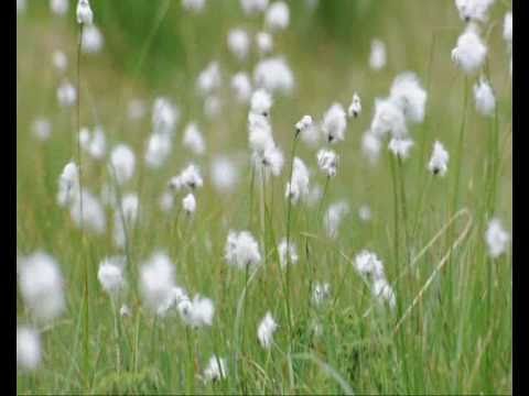 Three seasons in Norway