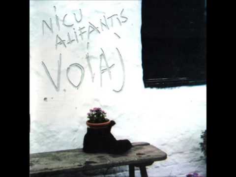 Nicu Alifantis & Zan - Voiaj(full album, 1995)