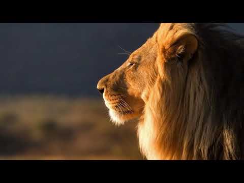 Ministério de Ensinando de Sião - Baruch Adonai…