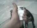 Music Zaino
