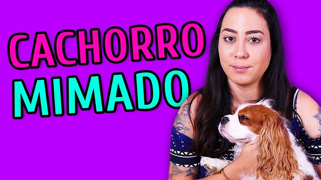 7 SINAIS QUE VOCÊ ESTÁ MIMANDO SEU CACHORRO