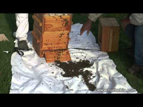 comment construire ruche warré