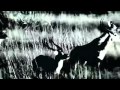 Hyena DocumentaryI Wildlife Documentary I Animal Planet I National Geographic Documentaries