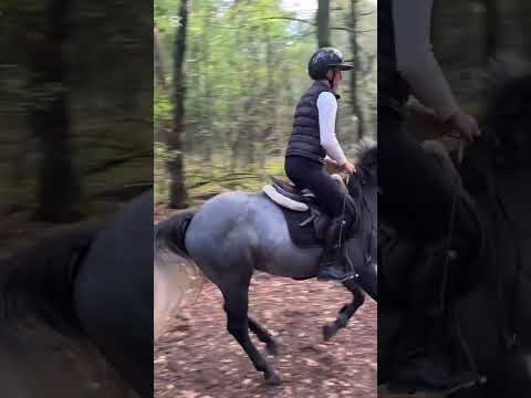 Eventing!