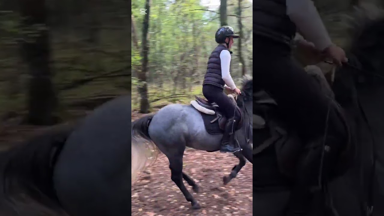 Rainbow friends van de bergen video 2