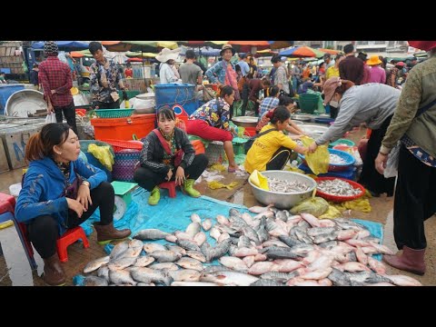 Early Morning Vegetable Vs Fish Market - Daily Lifestyle & Activities of Vendors in Cambodia