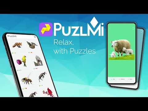 PuzlMi