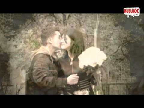 DOINA ARSENE CRIZANTEME ALBE