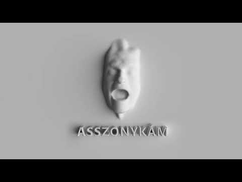 ASSZONYKÁM (OFFICIAL VISUALIZER)