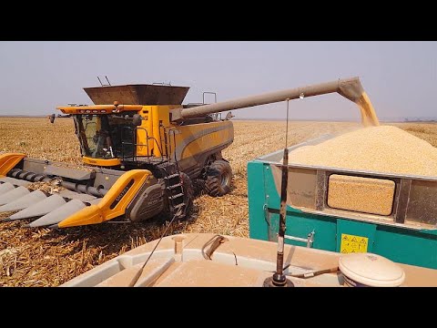 Angola : cultiver son maïs dans la province de Malanje, quel potentiel ?