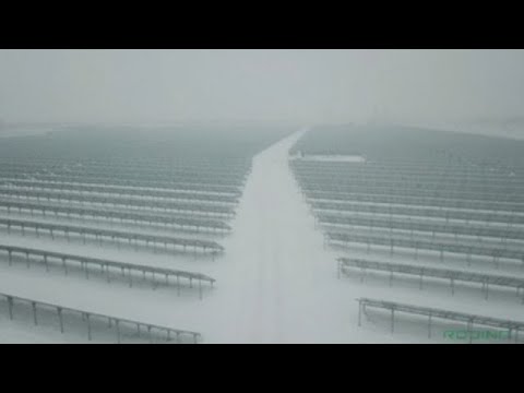 Central Asia's largest solar power plant opens in Kazakhstan