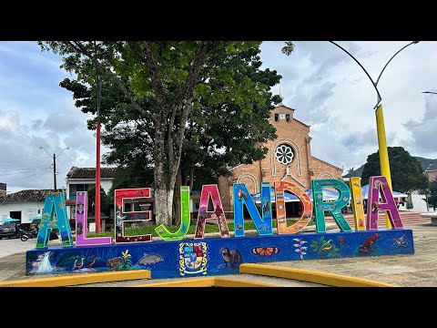 Municipio de Alejandría 