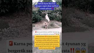 Download lagu 🔴Astaghfirullah‼️Jin caught on camera mp3 Download lagu 🔴Astaghfirullah‼️Jin caught on camera mp3