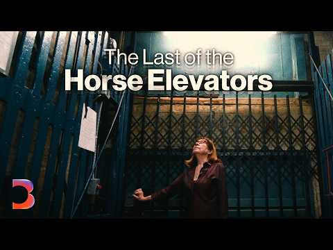 A Last Ride in New York's Disappearing Horse Elevators