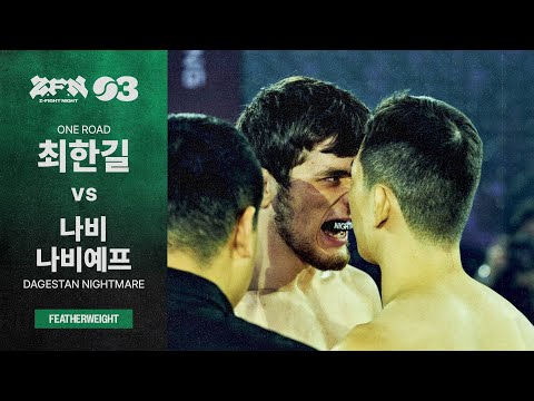 ZFN and 정찬성 Korean Zombie