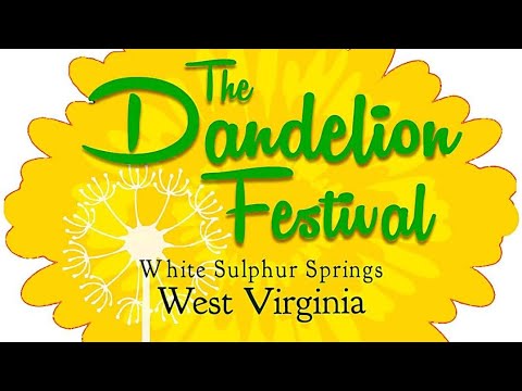 Dandelion Festival 2023 Fireworks