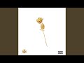 Rose Gold Roe S Gold