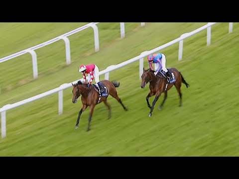 St James's Palace Stakes: Royal Ascot Memories