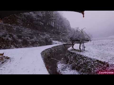 Wet Snow and Slush Walking Hillside Village - Asago, Japan 2025