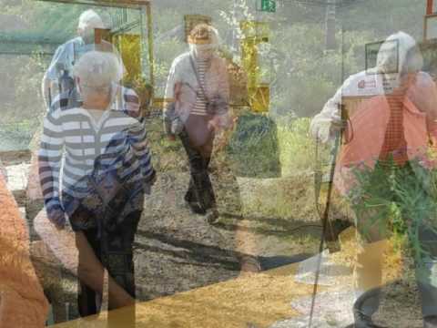 SPF Seniorerna 2016 05 10 Gökotta Örsbäcken