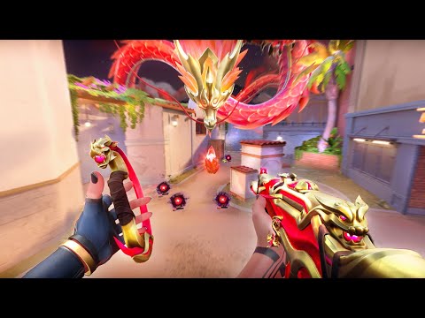 Imperium Vandal ASMR