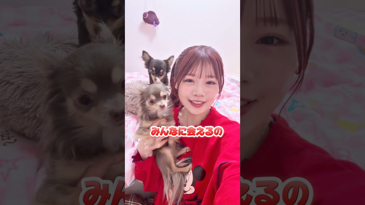 4月5日のインターペットでクレアロンに会えます😍 #tiktok #shorts