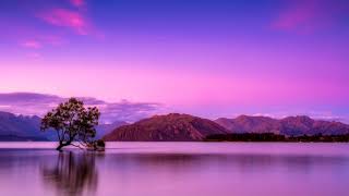 Edward Maya - BACK HOME (letra español-ingles)