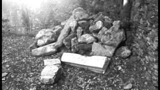 Lampante - Ani DiFranco (Self Evident) - Voce di Bettina Banchini