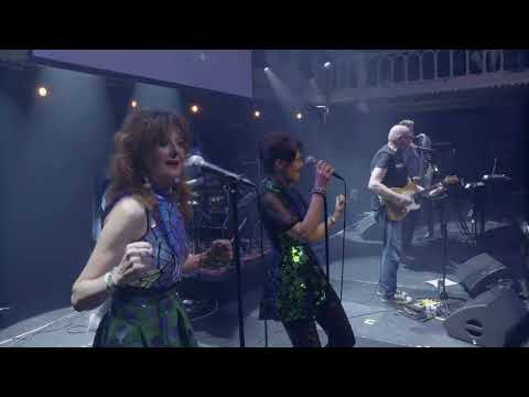 Gruppo Sportivo - Hey Girl (Live, 2023)