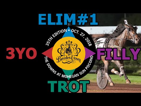 2018 Breeders Crown Elim#1 - Plunge Blue Chip - 3YO Filly Trot