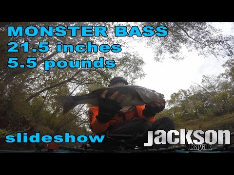 Slideshow: big catch while kayak fishing