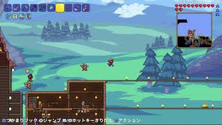 テラリア #2