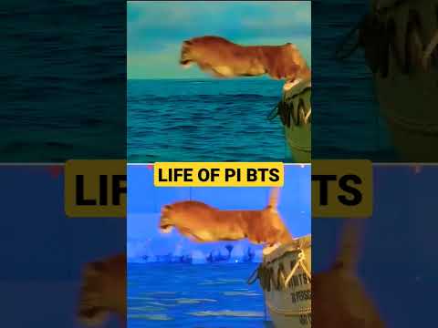 LIFE OF PI - Behaid the scenes VFX breakdown