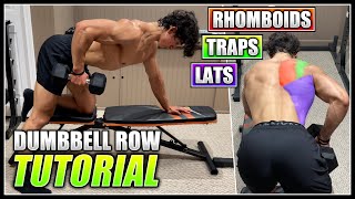 How to do the SINGLE ARM DUMBBELL ROW! | 2 Minute Tutorial