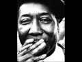 Muddy Waters - 'Forty Days & Forty Nights