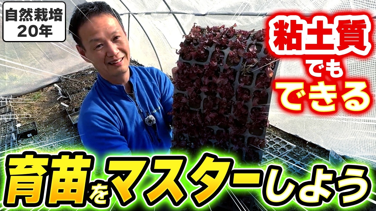 【自然栽培418】野菜増収の決め手!苗の作り方!