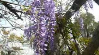 Download lagu GUITAR - ROMANCE DE AMOUR mp3